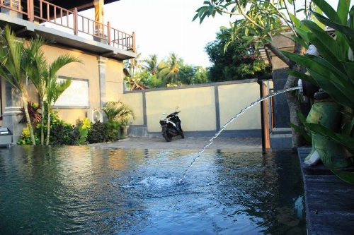 Menjangan Sari image 10