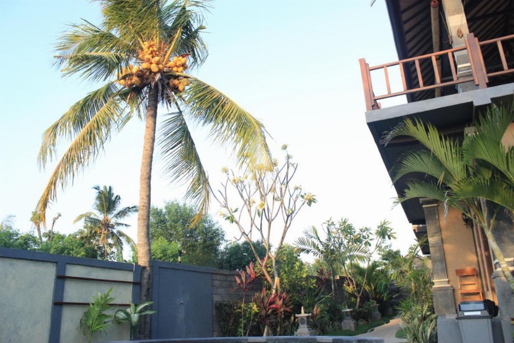 Menjangan Sari Image 14