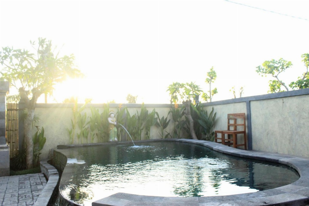 Menjangan Sari Main image