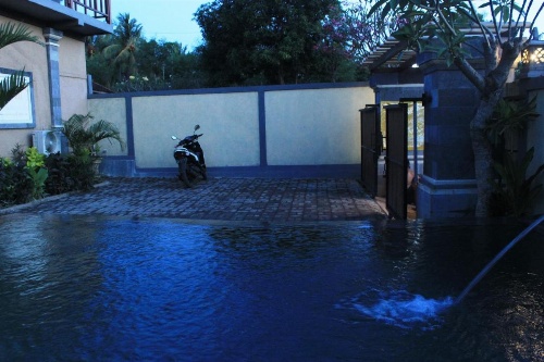Menjangan Sari image 49