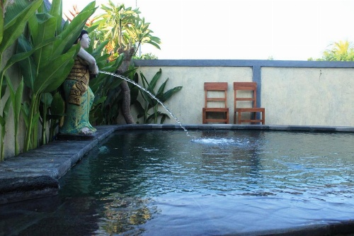 Menjangan Sari image 6
